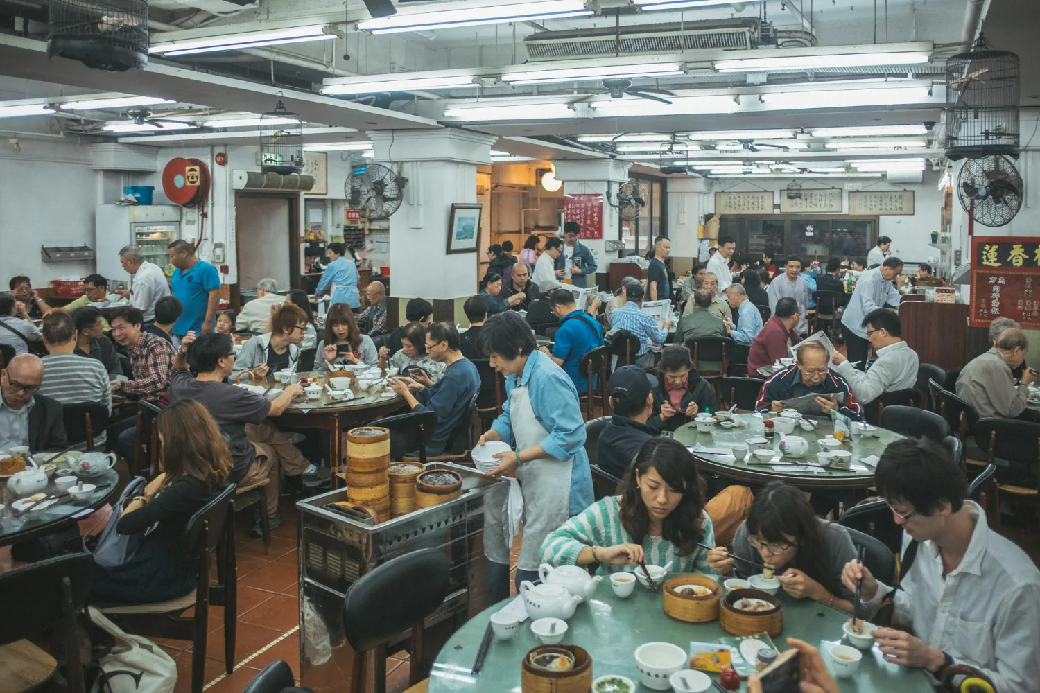 Food premises must be hygienic and kept clean.